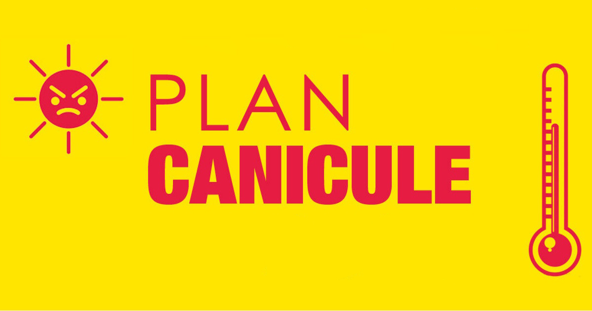 plancanicule01